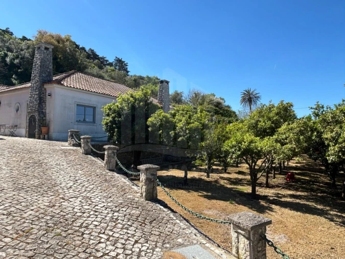 Moradia T3 para Venda em Quinta do Anjo Foto 1