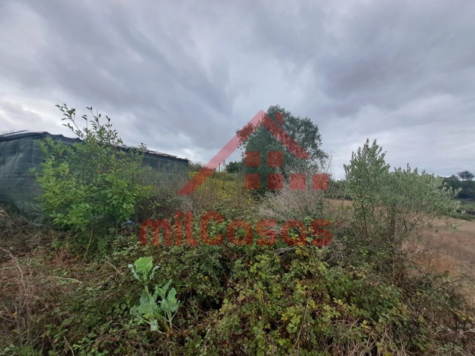 Terreno para Venda em Carvoeira e Carmões Foto 16