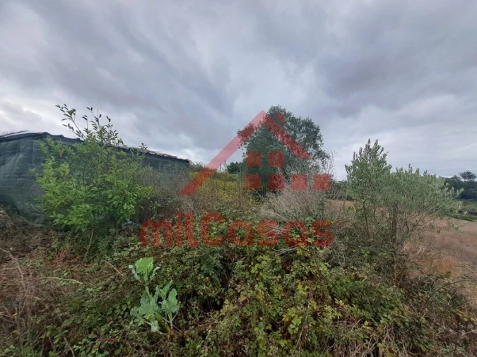 Terreno para Venda em Carvoeira e Carmões Foto 16