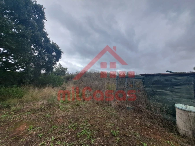 Terreno para Venda em Carvoeira e Carmões Foto 17