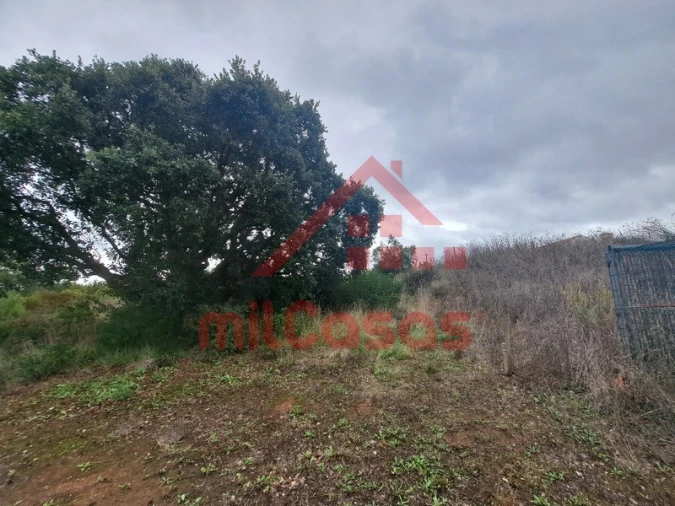 Terreno para Venda em Carvoeira e Carmões Foto 20