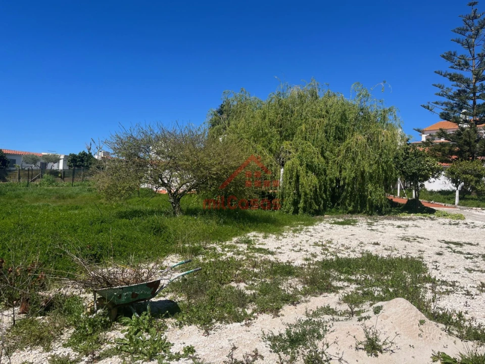 Armazém para Venda em Turcifal Foto 9