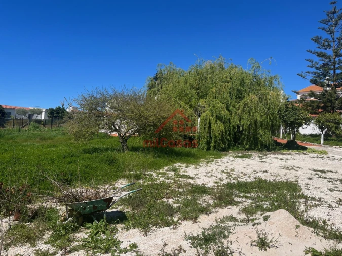 Armazém para Venda em Turcifal Foto 9