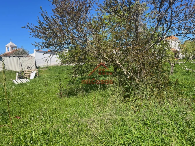 Armazém para Venda em Turcifal Foto 14