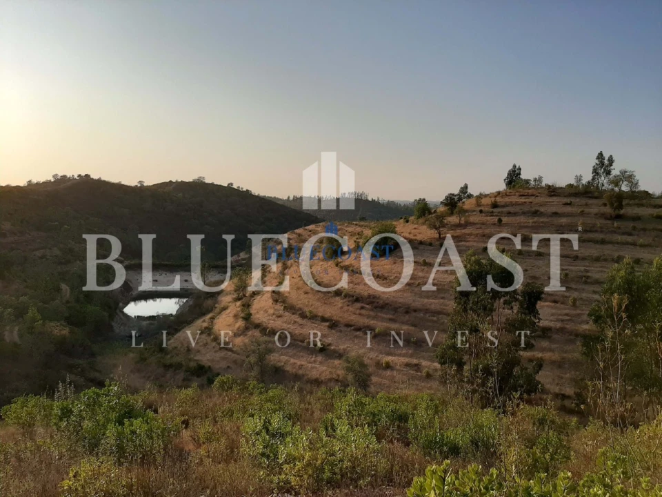 Quinta T4 para Venda em Santa Clara-A-Velha Foto 3