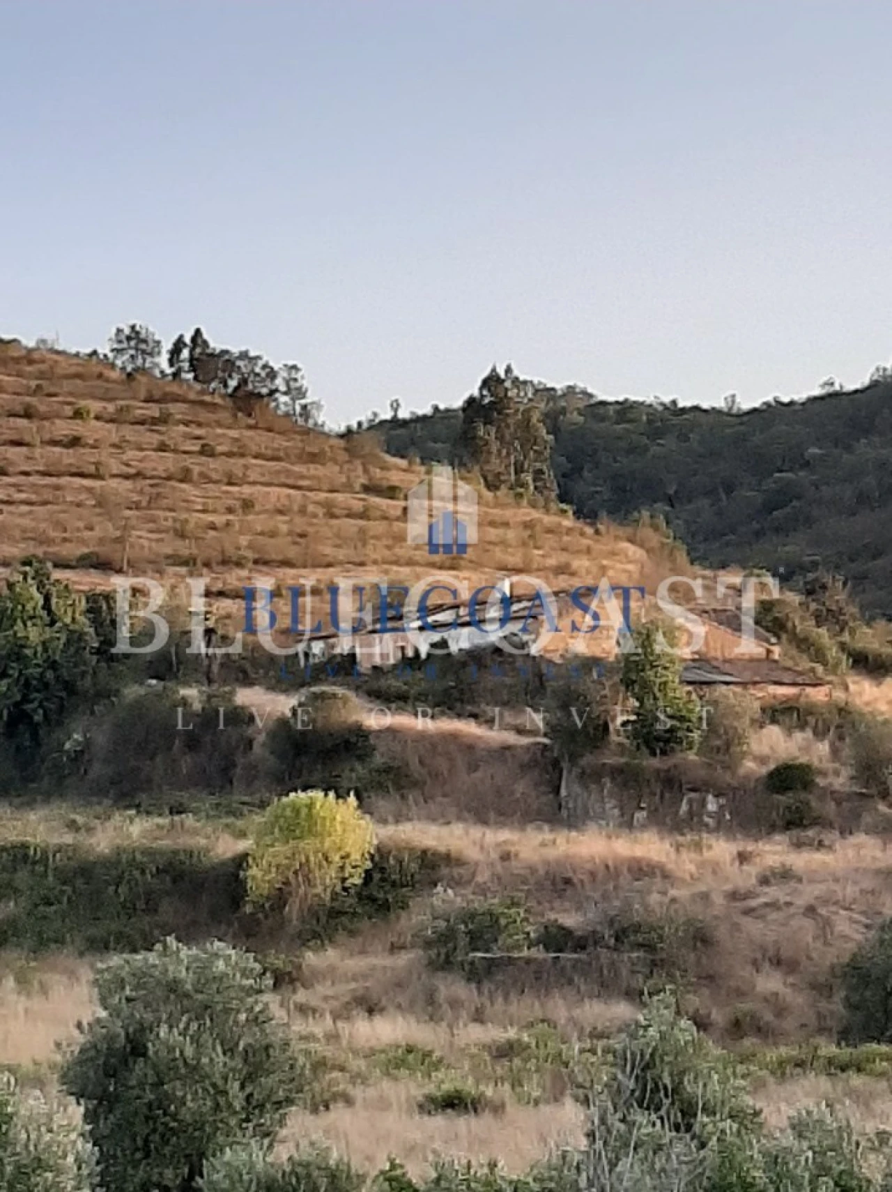 Quinta T4 para Venda em Santa Clara-A-Velha Foto 7