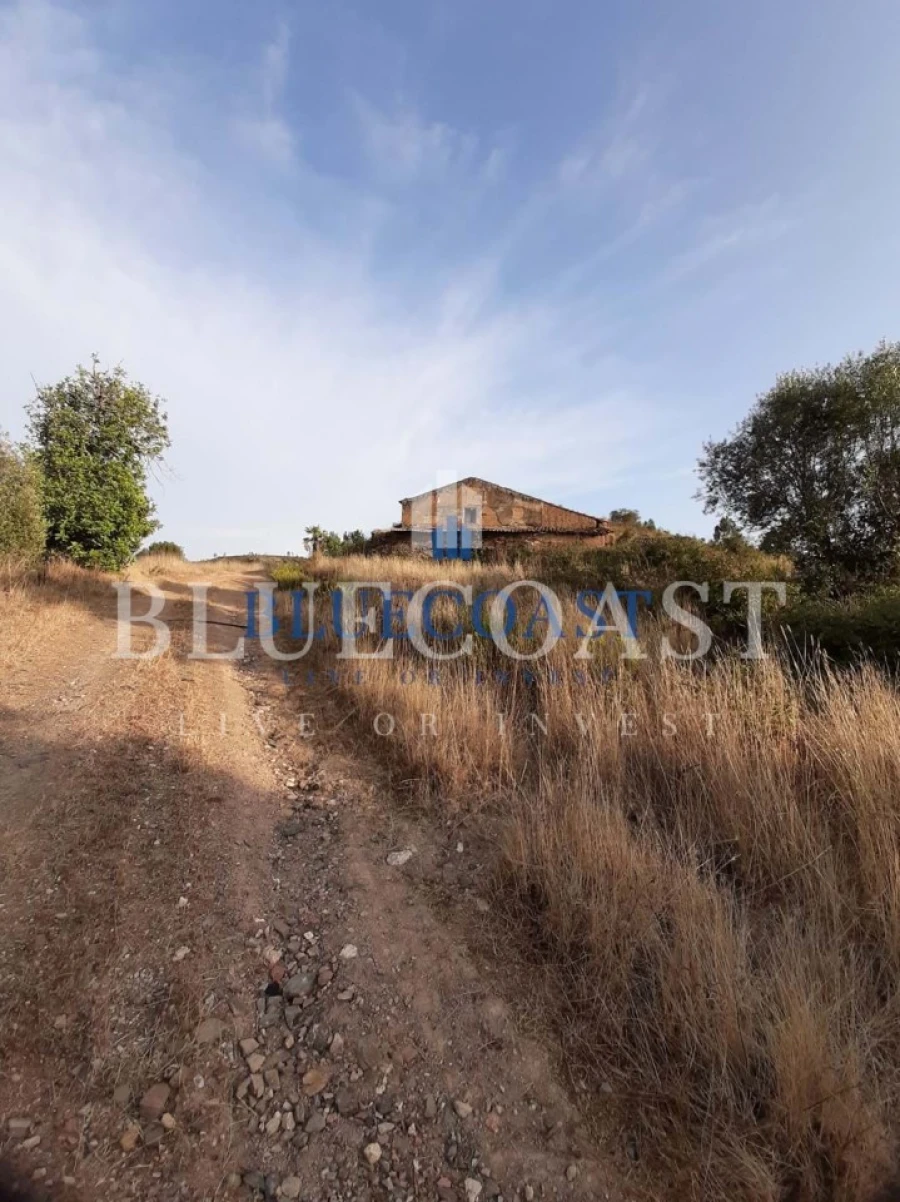 Quinta T4 para Venda em Santa Clara-A-Velha Foto 2