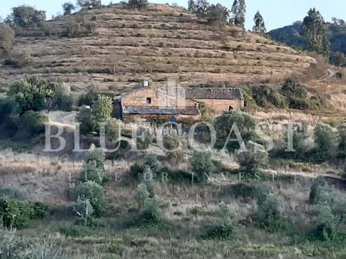 Quinta T4 para Venda em Santa Clara-A-Velha Foto 6