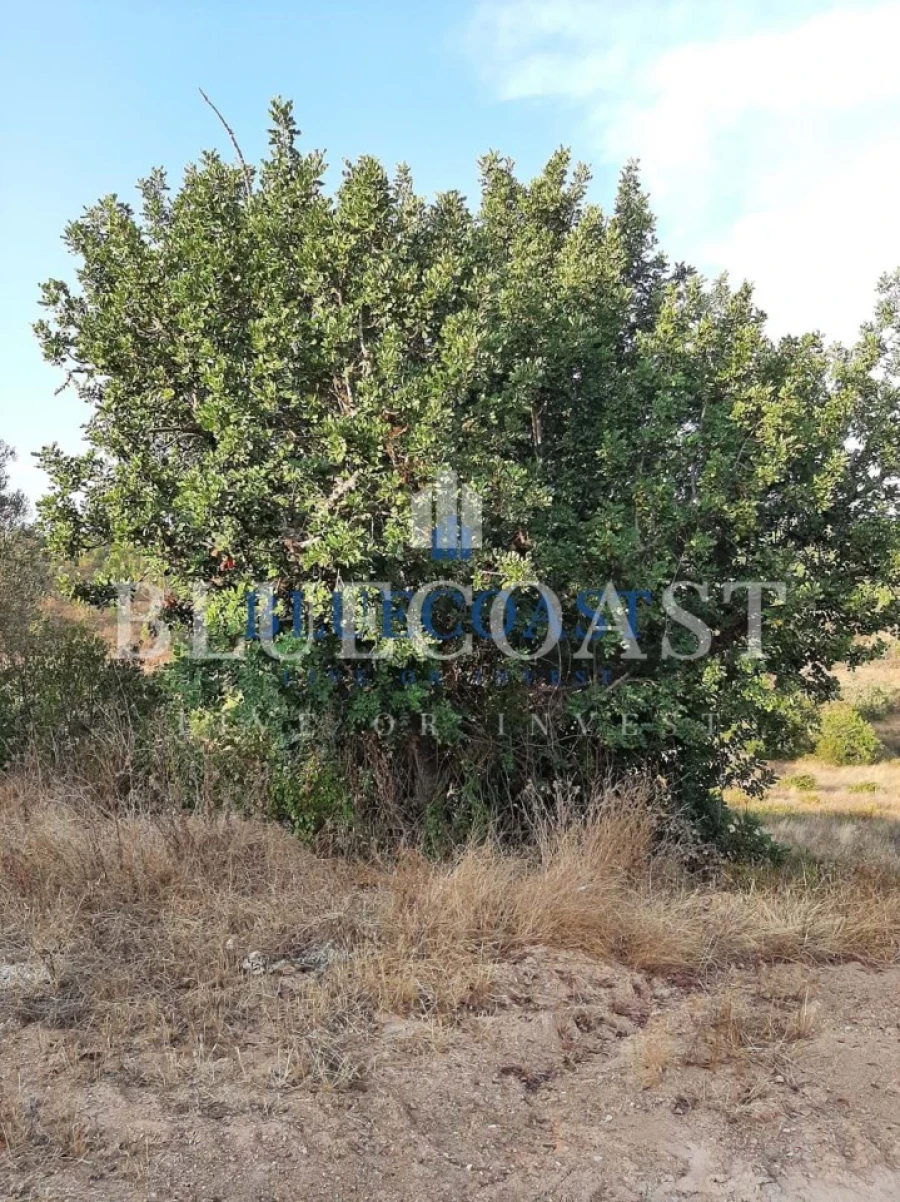 Quinta T4 para Venda em Santa Clara-A-Velha Foto 8