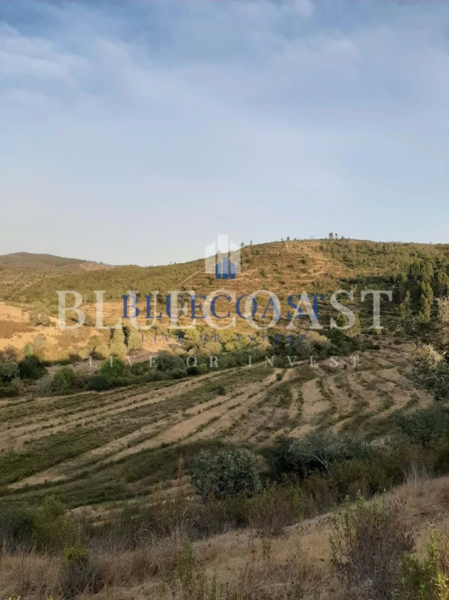 Quinta T4 para Venda em Santa Clara-A-Velha Foto 11