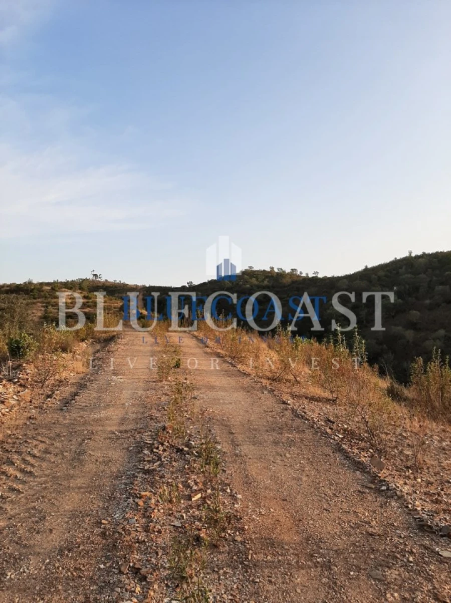 Quinta T4 para Venda em Santa Clara-A-Velha Foto 12