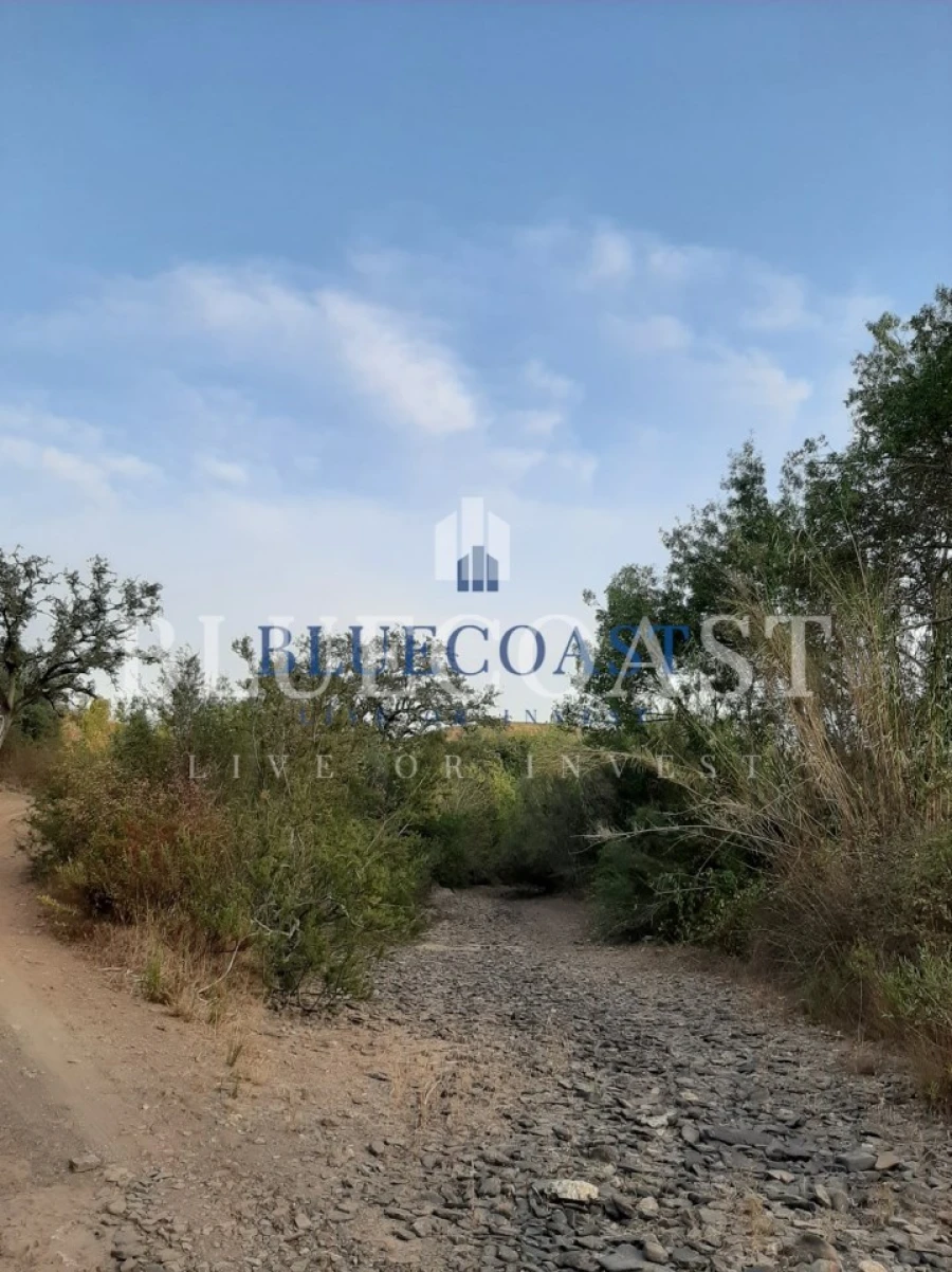 Quinta T4 para Venda em Santa Clara-A-Velha Foto 13