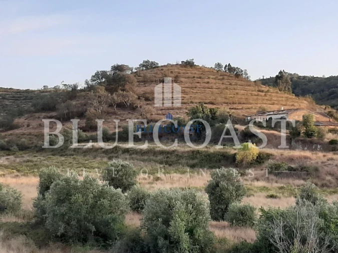 Quinta T4 para Venda em Santa Clara-A-Velha Foto 14