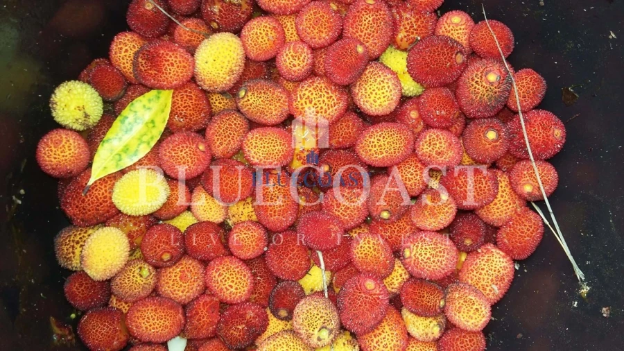 Quinta T4 para Venda em Santa Clara-A-Velha Foto 15