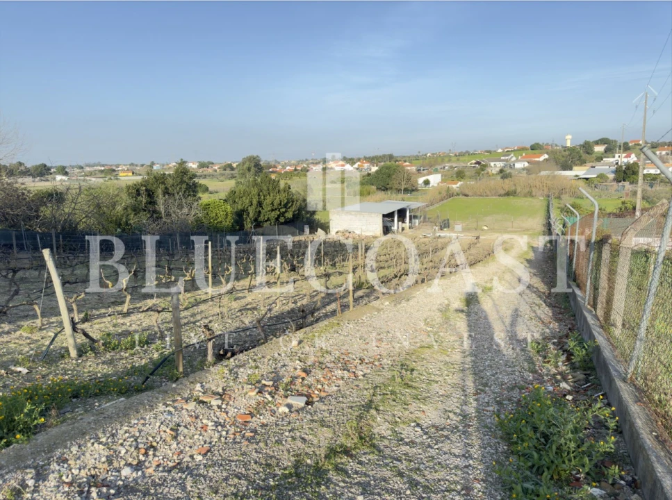 Moradia T5 para Venda em Poceirão e Marateca Foto 49