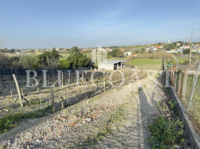 Moradia T5 para Venda em Poceirão e Marateca Foto 49