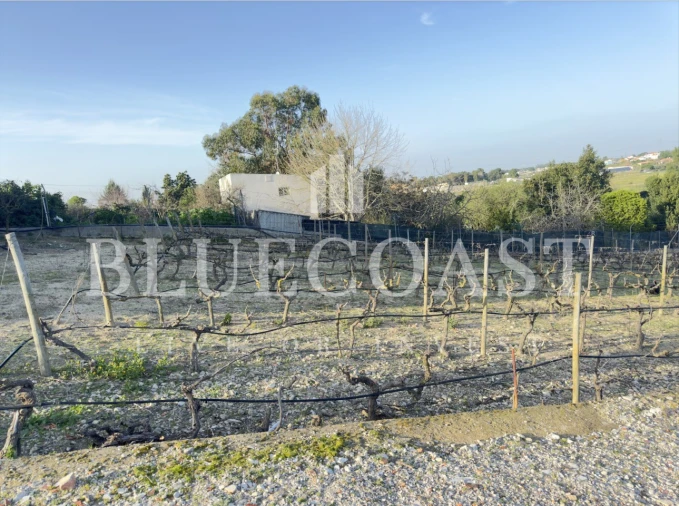 Moradia T5 para Venda em Poceirão e Marateca Foto 51