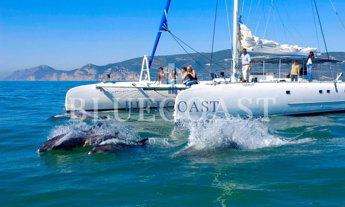 Moradia T20 para Venda em União das Freguesias de Setúbal Foto 14