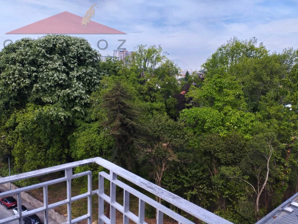 Apartamento T1 para Arrendamento em Lordelo do Ouro e Massarelos Foto 6