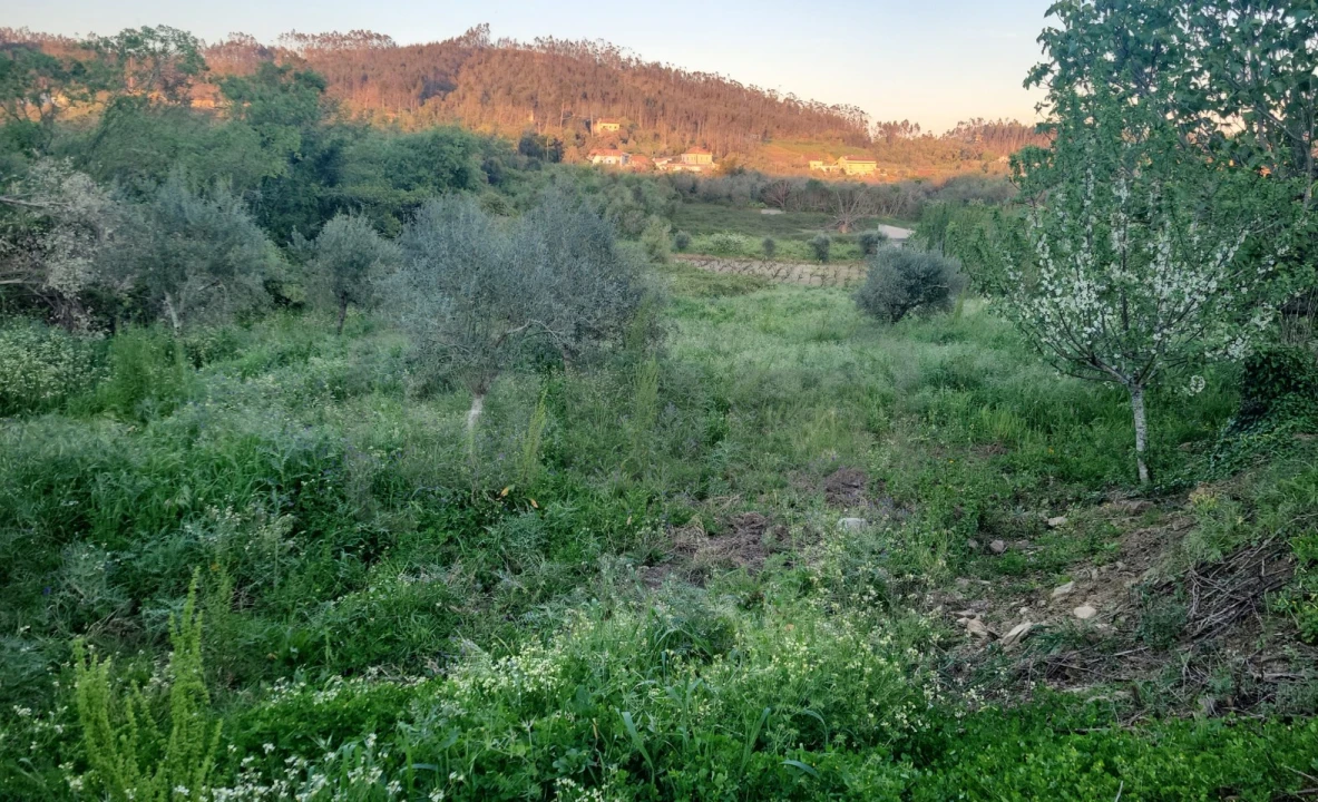Quinta T5 para Venda em Igreja Nova do Sobral Foto 30