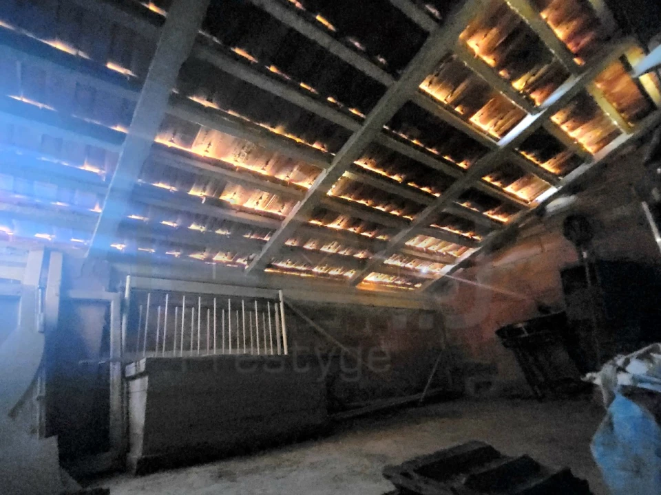 Quinta T5 para Venda em Igreja Nova do Sobral Foto 21