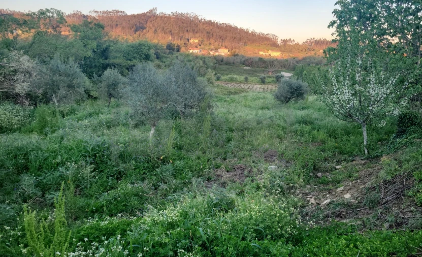 Quinta T5 para Venda em Igreja Nova do Sobral Foto 30