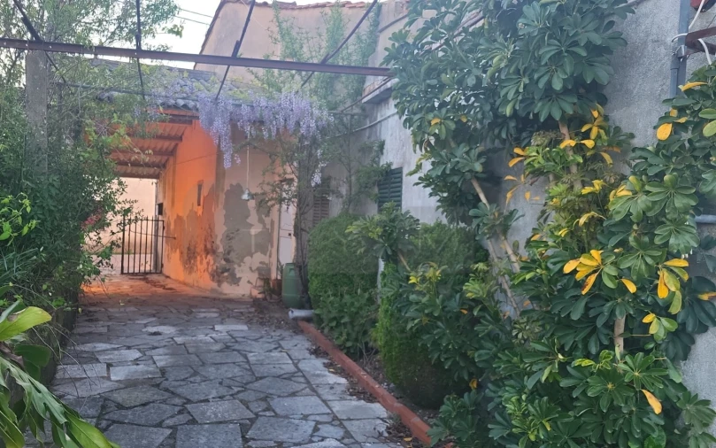 Quinta T5 para Venda em Igreja Nova do Sobral Foto 2