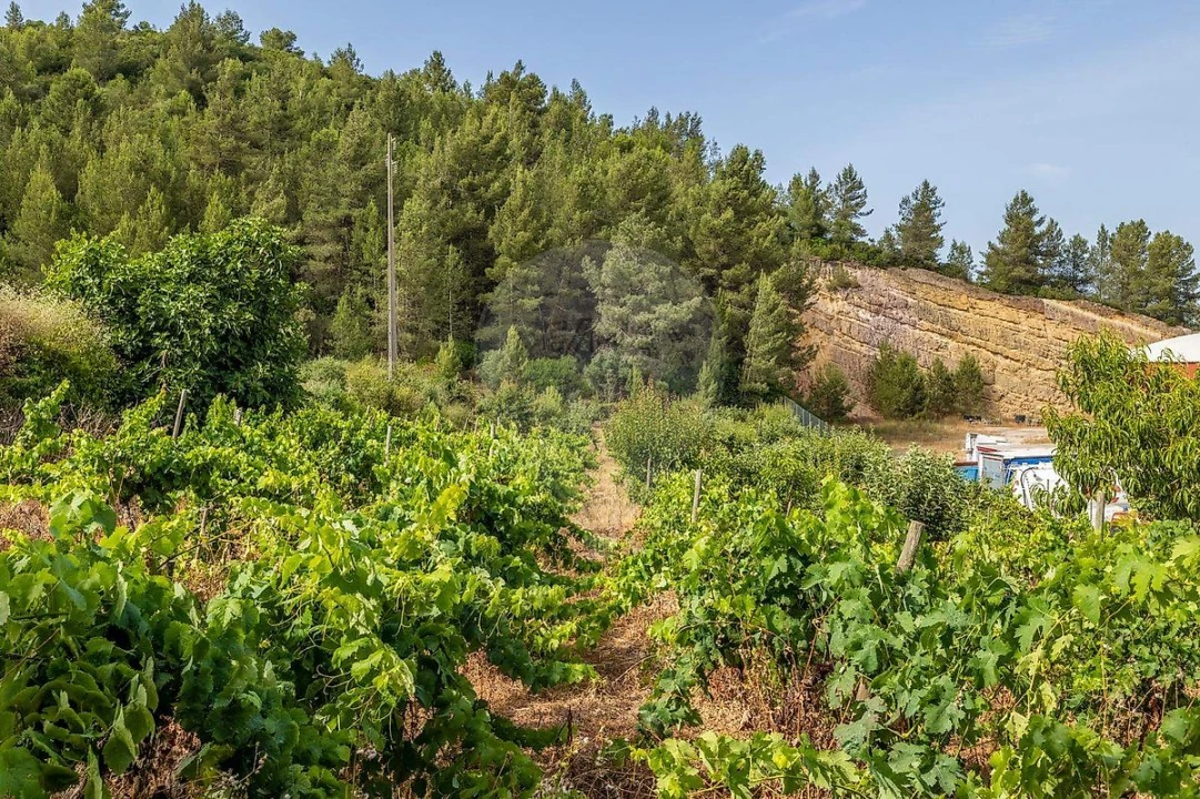 Terreno para Venda em Alenquer (Santo Estêvão e Triana) Foto 28