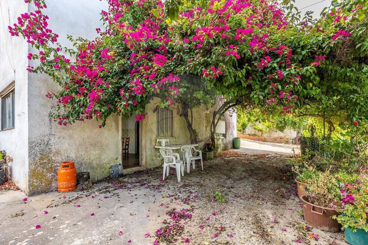 Terreno para Venda em Alenquer (Santo Estêvão e Triana) Foto 22