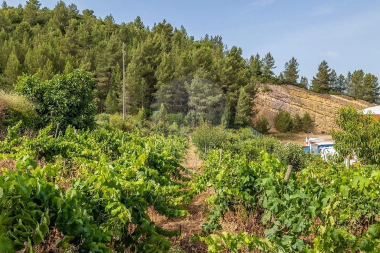 Terreno para Venda em Alenquer (Santo Estêvão e Triana) Foto 28