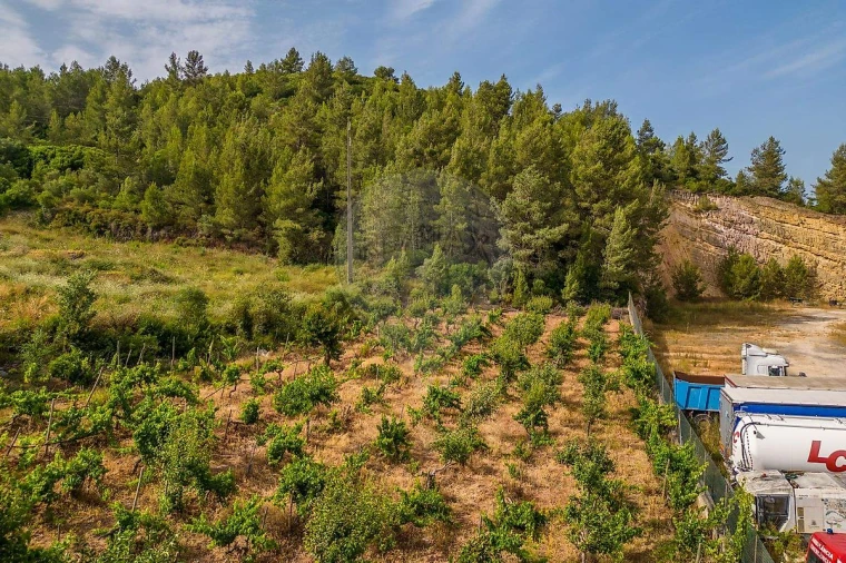 Terreno para Venda em Alenquer (Santo Estêvão e Triana) Foto 26