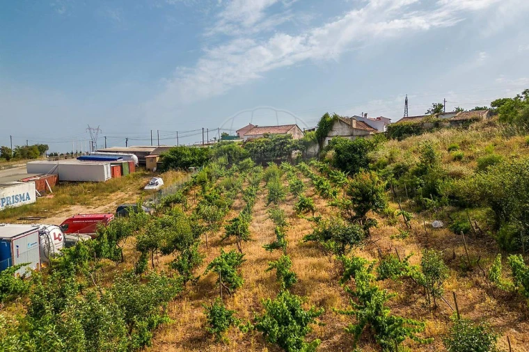 Terreno para Venda em Alenquer (Santo Estêvão e Triana) Foto 20