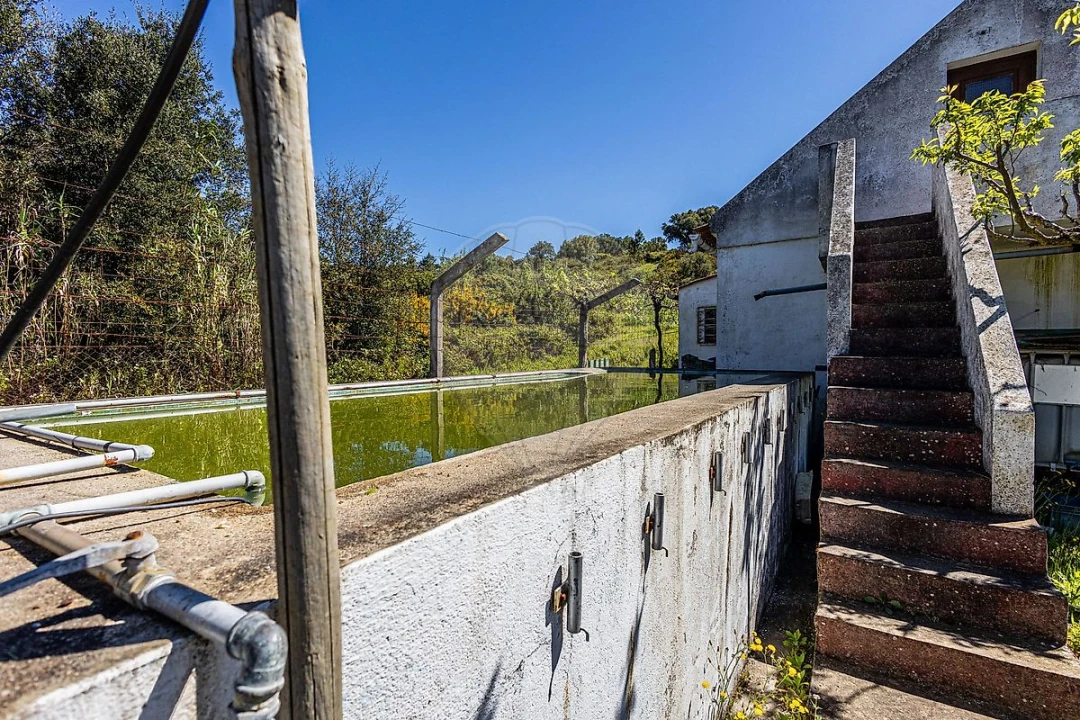 Moradia T1 para Venda em Azambuja Foto 41