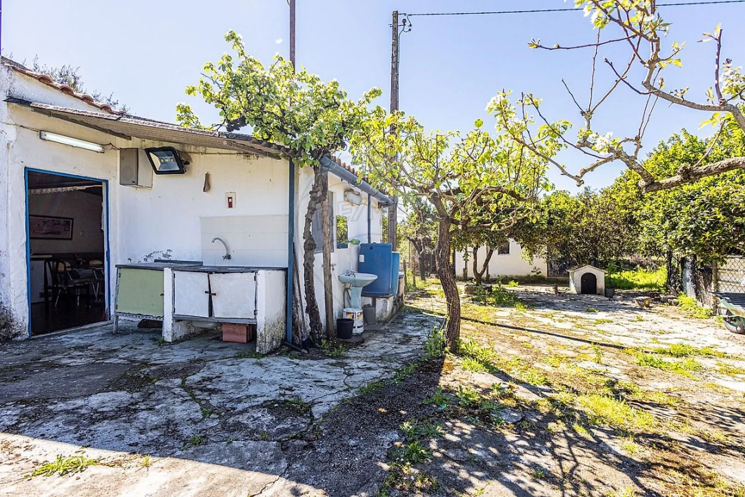 Moradia T1 para Venda em Azambuja Foto 29