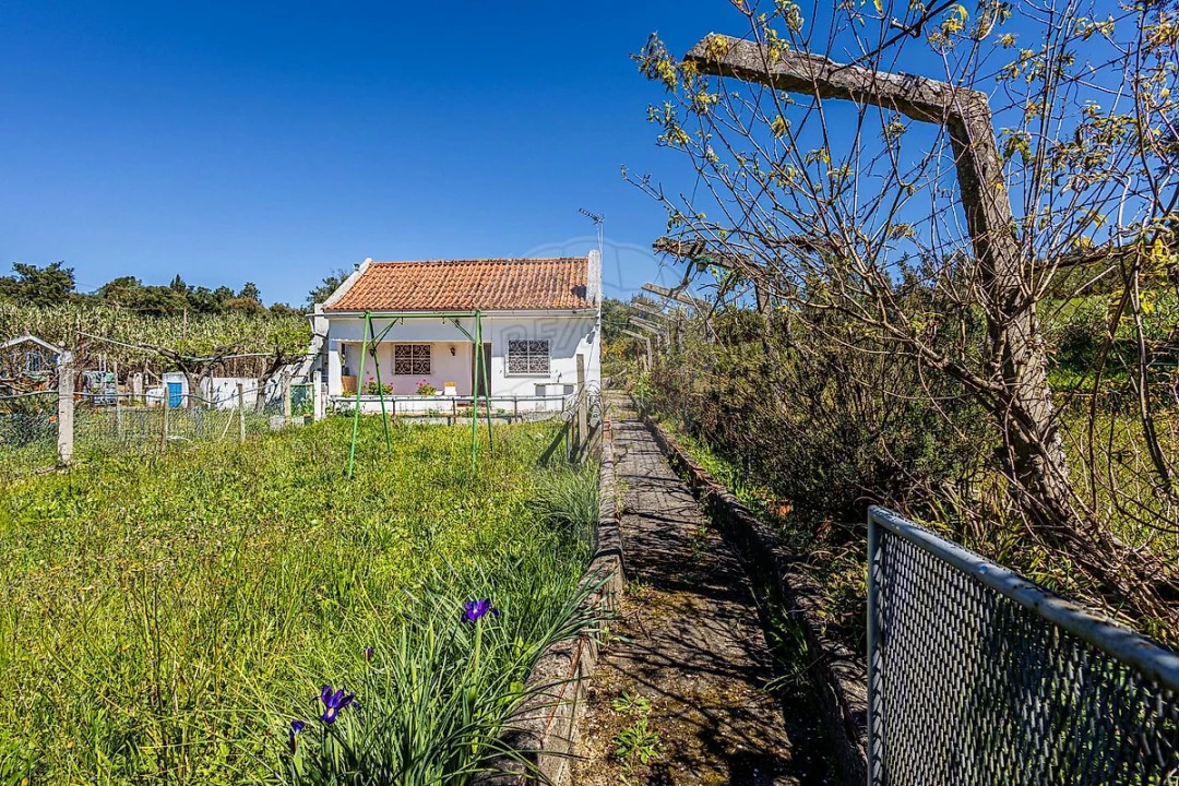 Moradia T1 para Venda em Azambuja Foto 31