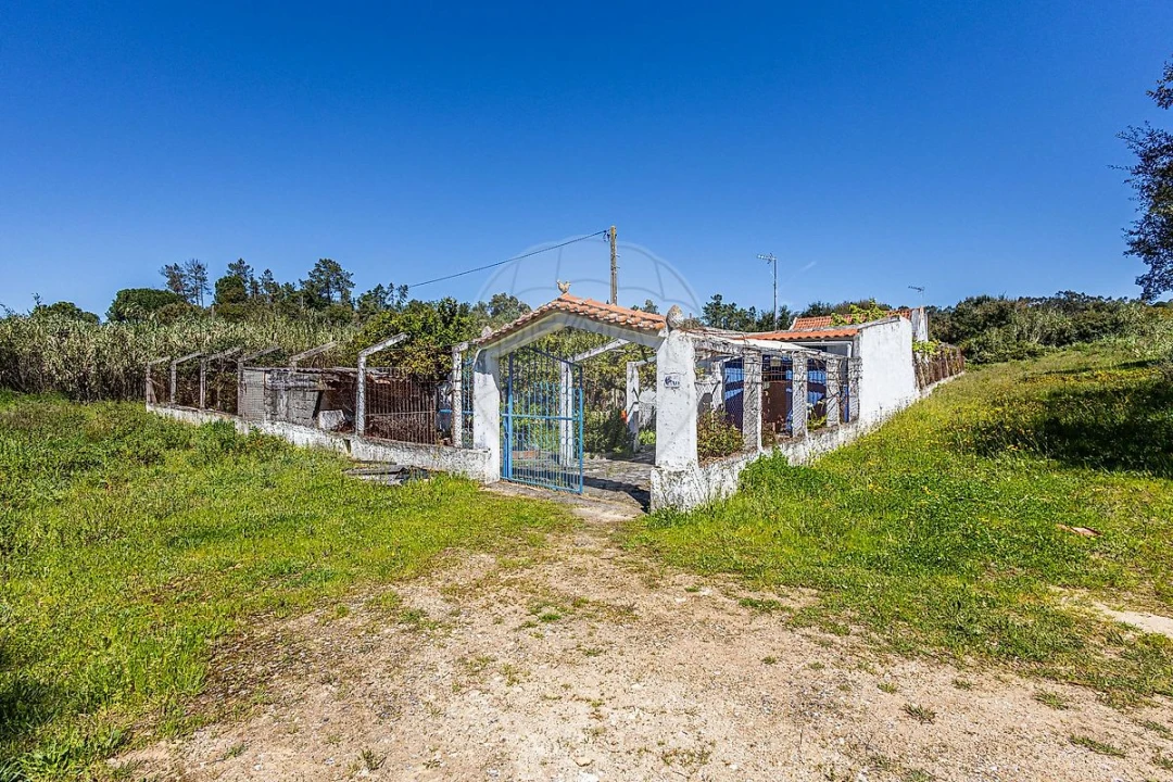 Moradia T1 para Venda em Azambuja Foto 15