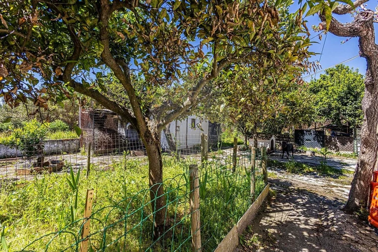 Moradia T1 para Venda em Azambuja Foto 20