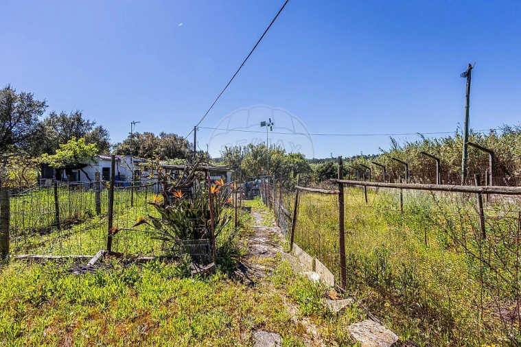 Moradia T1 para Venda em Azambuja Foto 36