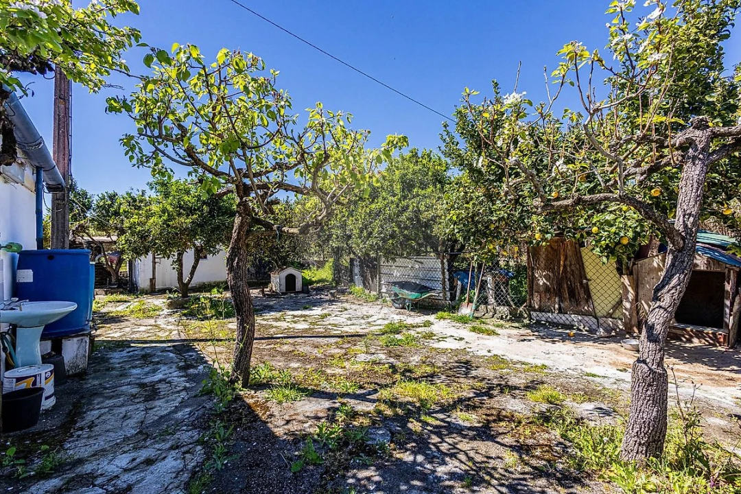 Moradia T1 para Venda em Azambuja Foto 30