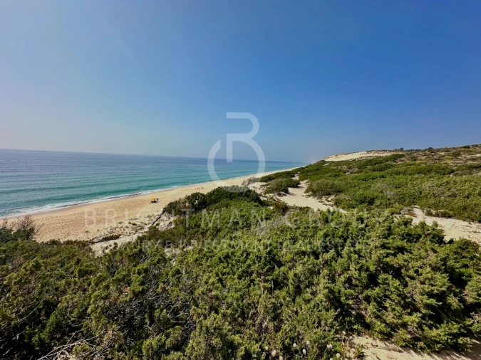 Moradia T4 para Venda em Carvalhal Foto 27