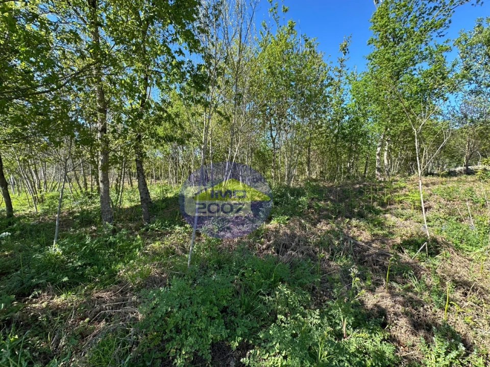 Terreno Agricola ou Rústico para Venda em Lobão, Gião, Louredo e Guisande Foto 7