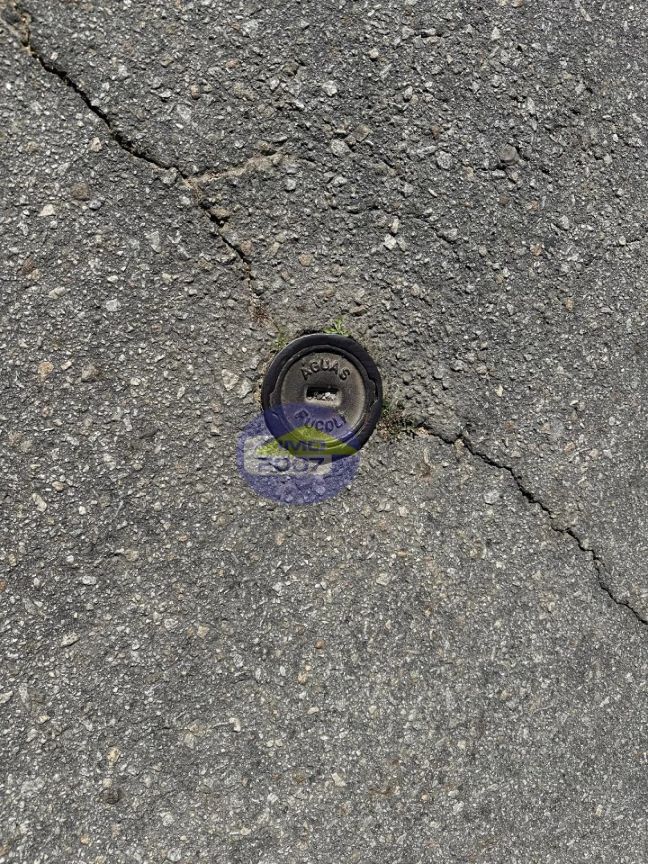 Terreno Agricola ou Rústico para Venda em Lobão, Gião, Louredo e Guisande Foto 10