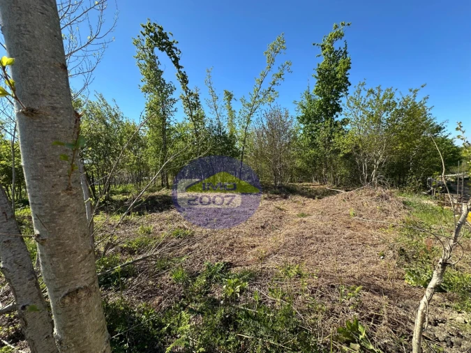 Terreno Agricola ou Rústico para Venda em Lobão, Gião, Louredo e Guisande Foto 8