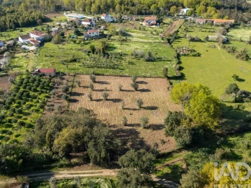 Terreno para Venda em Ovoa e Vimieiro