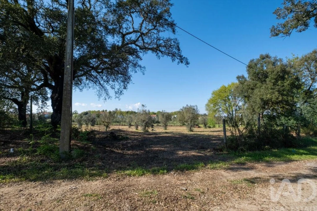 Terreno para Venda em Ovoa e Vimieiro Foto 3