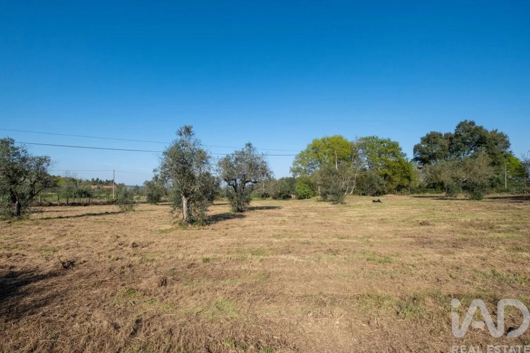 Terreno para Venda em Ovoa e Vimieiro Foto 4