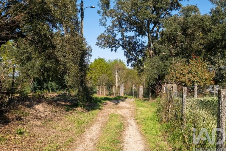 Terreno para Venda em Ovoa e Vimieiro Foto 2