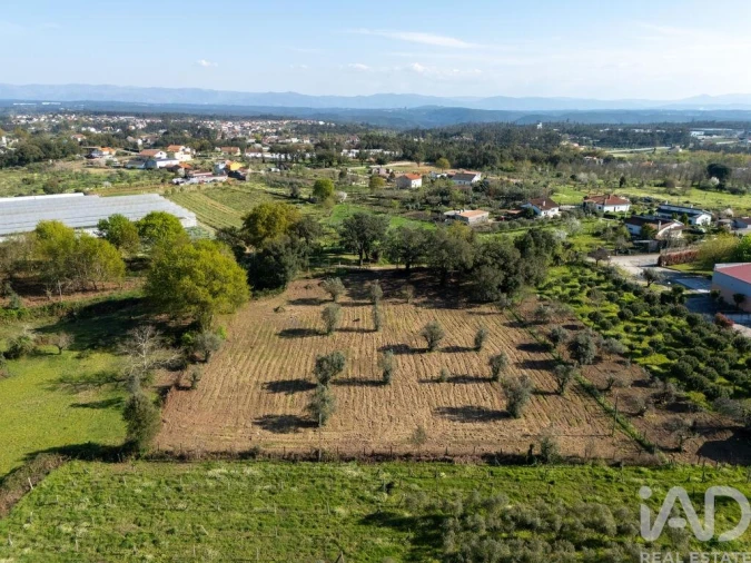 Terreno para Venda em Ovoa e Vimieiro Foto 8