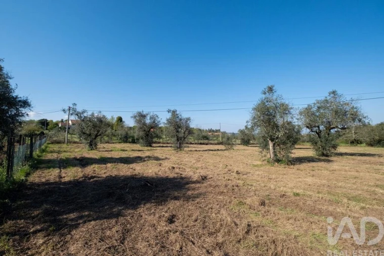 Terreno para Venda em Ovoa e Vimieiro Foto 12