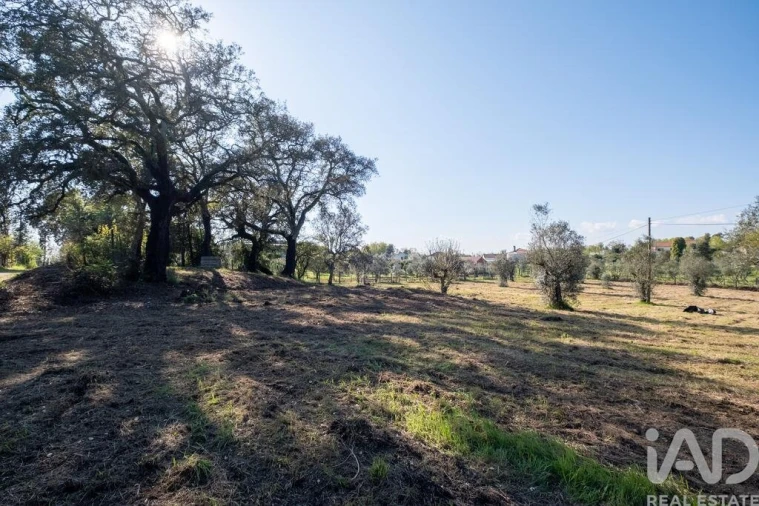 Terreno para Venda em Ovoa e Vimieiro Foto 6